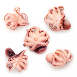 Squid (Octopus) Baby 40/60,...